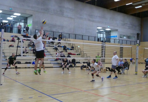 Finale web